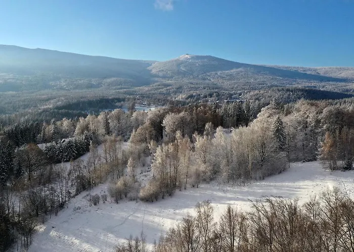 Trevilles - Golden Eye *